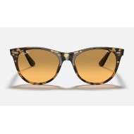 WAYFARER II WASHED EVOLVE
Lenses: Orange Photochromic Gradient  +  Frame: Yellow Havana