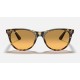 WAYFARER II WASHED EVOLVE
Lenses: Orange Photochromic Gradient  +  Frame: Yellow Havana