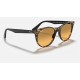 WAYFARER II WASHED EVOLVE
Lenses: Orange Photochromic Gradient  +  Frame: Yellow Havana