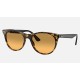 WAYFARER II WASHED EVOLVE
Lenses: Orange Photochromic Gradient  +  Frame: Yellow Havana