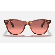 WAYFARER II WASHED EVOLVE
Lenses: Red Photochromic Gradient  +  Frame: Red Havana