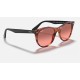 WAYFARER II WASHED EVOLVE
Lenses: Red Photochromic Gradient  +  Frame: Red Havana