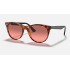 WAYFARER II WASHED EVOLVE
Lenses: Red Photochromic Gradient  +  Frame: Red Havana