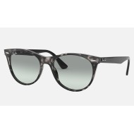 WAYFARER II WASHED EVOLVE
Lenses: Light Blue Photochromic Gradient  +  Frame: Grey Havana