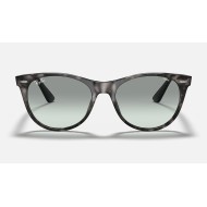 WAYFARER II WASHED EVOLVE
Lenses: Light Blue Photochromic Gradient  +  Frame: Grey Havana