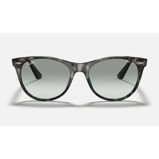 WAYFARER II WASHED EVOLVE
Lenses: Light Blue Photochromic Gradient  +  Frame: Grey Havana