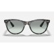 WAYFARER II WASHED EVOLVE
Lenses: Light Blue Photochromic Gradient  +  Frame: Grey Havana