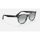 WAYFARER II WASHED EVOLVE
Lenses: Light Blue Photochromic Gradient  +  Frame: Grey Havana
