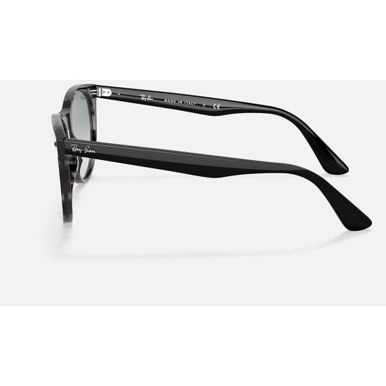 WAYFARER II WASHED EVOLVE
Lenses: Light Blue Photochromic Gradient  +  Frame: Grey Havana