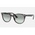 WAYFARER II WASHED EVOLVE
Lenses: Light Blue Photochromic Gradient  +  Frame: Grey Havana