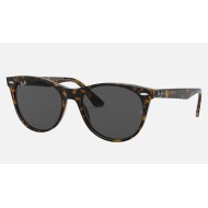 WAYFARER II CLASSIC
Lenses: Dark Grey Classic  +  Frame: Tortoise
