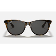 WAYFARER II CLASSIC
Lenses: Dark Grey Classic  +  Frame: Tortoise