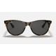 WAYFARER II CLASSIC
Lenses: Dark Grey Classic  +  Frame: Tortoise