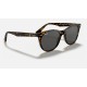 WAYFARER II CLASSIC
Lenses: Dark Grey Classic  +  Frame: Tortoise