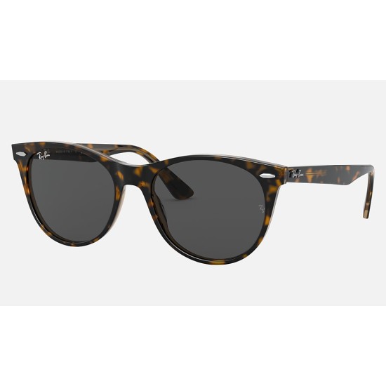 WAYFARER II CLASSIC
Lenses: Dark Grey Classic  +  Frame: Tortoise