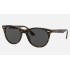 WAYFARER II CLASSIC
Lenses: Dark Grey Classic  +  Frame: Tortoise