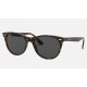 WAYFARER II CLASSIC
Lenses: Dark Grey Classic  +  Frame: Tortoise