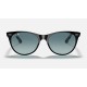 WAYFARER II CLASSIC
Lenses: Blue Gradient  +  Frame: Black