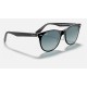 WAYFARER II CLASSIC
Lenses: Blue Gradient  +  Frame: Black