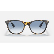WAYFARER II FLECK
Lenses: Light Blue Gradient  +  Frame: Yellow Havana