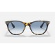 WAYFARER II FLECK
Lenses: Light Blue Gradient  +  Frame: Yellow Havana