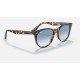 WAYFARER II FLECK
Lenses: Light Blue Gradient  +  Frame: Yellow Havana