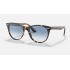 WAYFARER II FLECK
Lenses: Light Blue Gradient  +  Frame: Yellow Havana