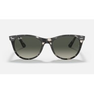 WAYFARER II FLECK
Lenses: Grey Gradient  +  Frame: Grey Havana