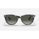 WAYFARER II FLECK
Lenses: Grey Gradient  +  Frame: Grey Havana