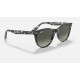 WAYFARER II FLECK
Lenses: Grey Gradient  +  Frame: Grey Havana