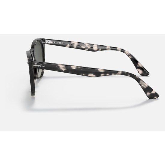 WAYFARER II FLECK
Lenses: Grey Gradient  +  Frame: Grey Havana