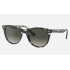 WAYFARER II FLECK
Lenses: Grey Gradient  +  Frame: Grey Havana