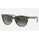 WAYFARER II FLECK
Lenses: Grey Gradient  +  Frame: Grey Havana