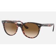 WAYFARER II FLECK
Lenses: Light Brown Gradient  +  Frame: Pink Havana