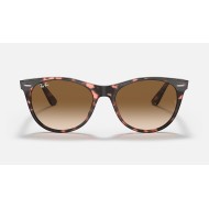 WAYFARER II FLECK
Lenses: Light Brown Gradient  +  Frame: Pink Havana