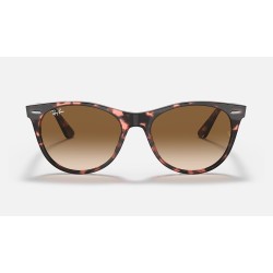 WAYFARER II FLECK
Lenses: Light Brown Gradient  +  Frame: Pink Havana