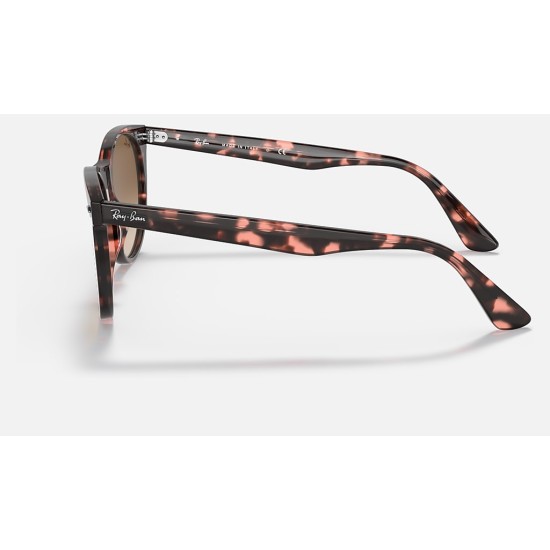 WAYFARER II FLECK
Lenses: Light Brown Gradient  +  Frame: Pink Havana