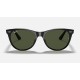 WAYFARER II CLASSIC
Lenses: Green Classic  +  Frame: Black