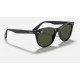 WAYFARER II CLASSIC
Lenses: Green Classic  +  Frame: Black