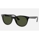 WAYFARER II CLASSIC
Lenses: Green Classic  +  Frame: Black