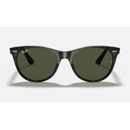 WAYFARER II CLASSIC
Lenses: Green Classic  +  Frame: Tortoise