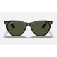WAYFARER II CLASSIC
Lenses: Green Classic  +  Frame: Tortoise