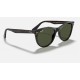 WAYFARER II CLASSIC
Lenses: Green Classic  +  Frame: Tortoise