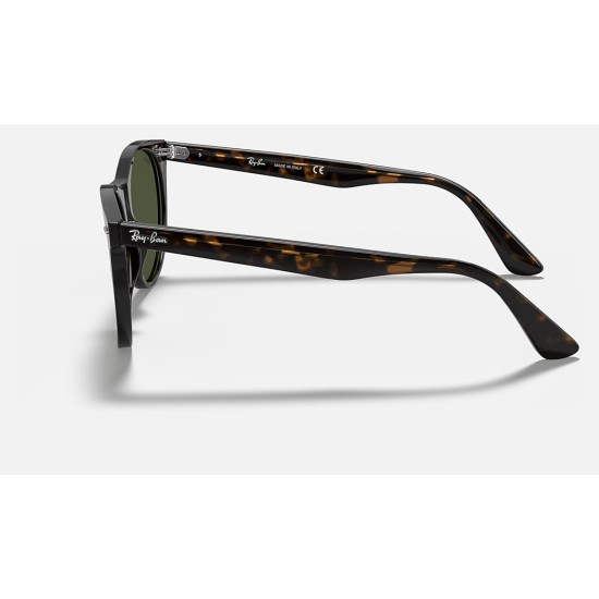 WAYFARER II CLASSIC
Lenses: Green Classic  +  Frame: Tortoise
