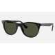 WAYFARER II CLASSIC
Lenses: Green Classic  +  Frame: Tortoise