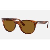 WAYFARER II CLASSIC
Lenses: Brown Classic  +  Frame: Striped Havana