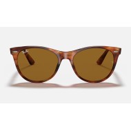WAYFARER II CLASSIC
Lenses: Brown Classic  +  Frame: Striped Havana