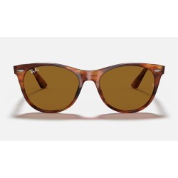 WAYFARER II CLASSIC
Lenses: Brown Classic  +  Frame: Striped Havana