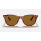 WAYFARER II CLASSIC
Lenses: Brown Classic  +  Frame: Striped Havana