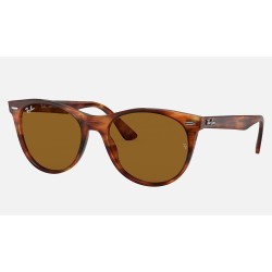 WAYFARER II CLASSIC
Lenses: Brown Classic  +  Frame: Striped Havana